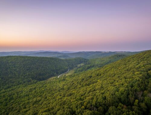 More than Moonshine: Taste Appalachia, Sip by Sip