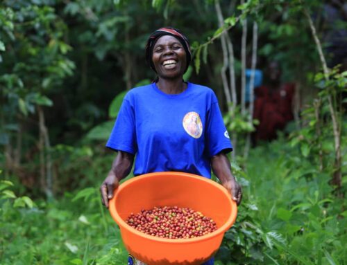 How Regenerative Agriculture Can Support African Farming and Coffee Communities