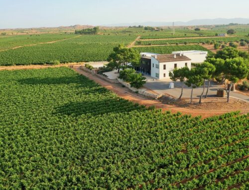 Bodegas Hispano+Suizas Wants to Revive This Spanish Wine Region